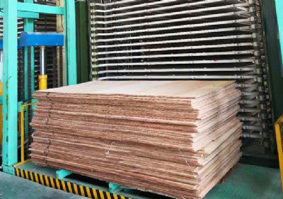 工廠(chǎng)環(huán)境